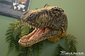 VBS_0911 - Dinosauri. Terra dei giganti